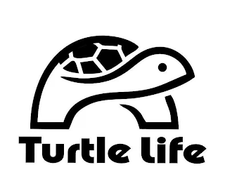 TURTLE LIFE