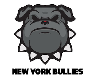 NEW YORK BULLIES