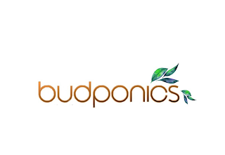 BUDPONICS