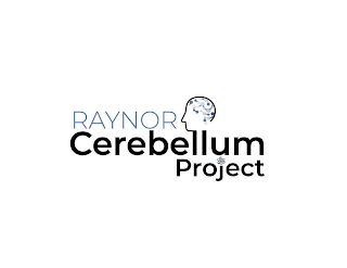 RAYNOR CEREBELLUM PROJECT