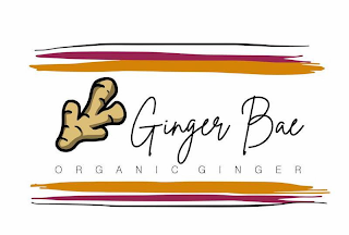 GINGER BAE ORGANIC GINGER