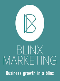 BLINX MARKETING BUSINESS GROWTH IN A BLINX
