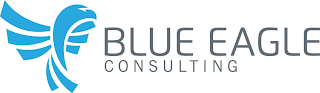 BLUE EAGLE CONSULTING