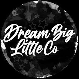 DREAM BIG LITTLE CO