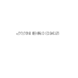 JUNBRICKS