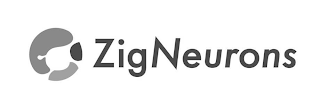 ZIGNEURONS