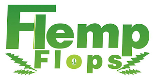 FLEMP FLOPS