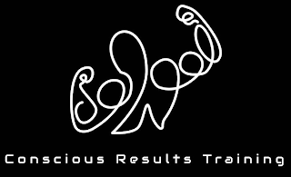 CONSCIOUS RESULTS TRAINING