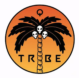 TRIBE