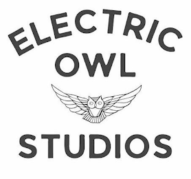 ELECTRIC OWL STUDIOS