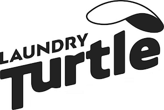 LAUNDRY TURTLE