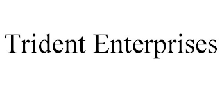 TRIDENT ENTERPRISES