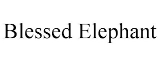 BLESSED ELEPHANT