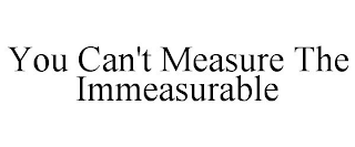 YOU CAN'T MEASURE THE IMMEASURABLE