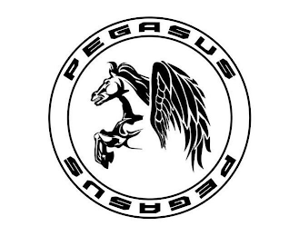 PEGASUS PEGASUS