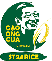 GAO ÔNG CUA VIET NAM ST24 RICE