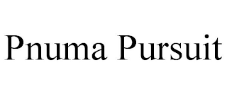 PNUMA PURSUIT