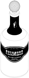 BE THE BALL BUSHWOOD CANNONBALL SPICED KENTUCKY WHISKEY 35% ALC/VOL 70 PROOF 750 ML