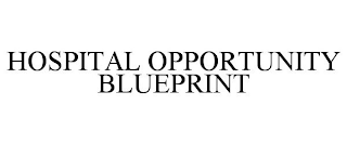 HOSPITAL OPPORTUNITY BLUEPRINT