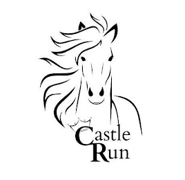 CASTLE RUN