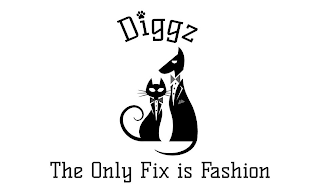 DIGGZ THE ONLY FIX IS FASHION