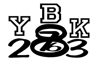 YBK 876 203