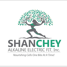 SHANCHEY ALKALINE ELECTRIC FIT, INC. NOURISHING CELLS ONE BITE AT A TIME