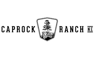 CAPROCK RANCH NE