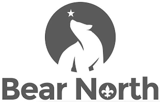 BEAR NORTH