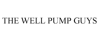 THE WELL PUMP GUYS