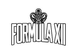 FORMULA XII