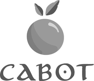 CABOT