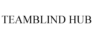 TEAMBLIND HUB