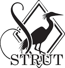 S STRUT