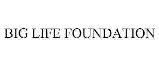 BIG LIFE FOUNDATION