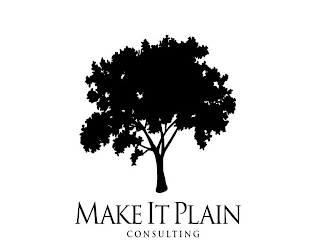 MAKE IT PLAIN CONSULTING