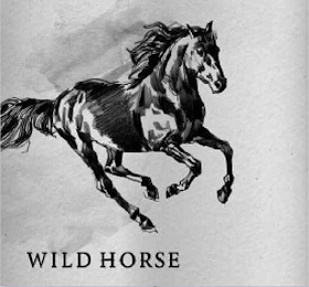 WILD HORSE