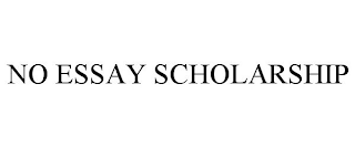 NO ESSAY SCHOLARSHIP