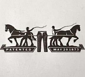 PATENTED MAY 20 1873