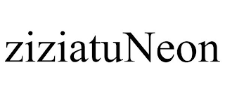 ZIZIATUNEON