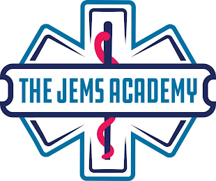 THE JEMS ACADEMY