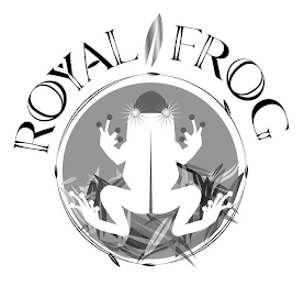 ROYAL FROG