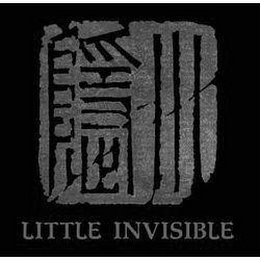 LITTLE INVISIBLE