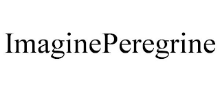 IMAGINEPEREGRINE