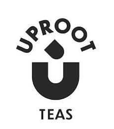 UPROOT U TEAS