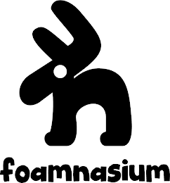 FN FOAMNASIUM