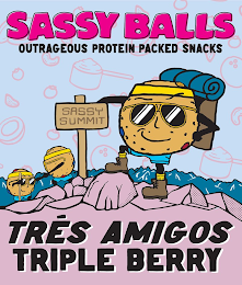 SASSY BALLS OUTRAGEOUS PROTEIN PACKED SNACKS TRÉS AMIGOS TRIPLE BERRY SASSY SUMMIT