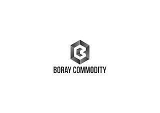 B BORAY COMMODITY