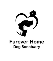 FUREVER HOME DOG SANCTUARY