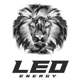 LEO ENERGY